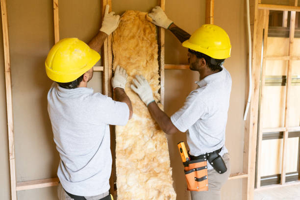 Insulation Replacement Services in Neshanic Station, NJ